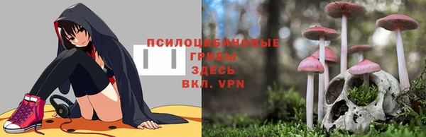 амф Медвежьегорск