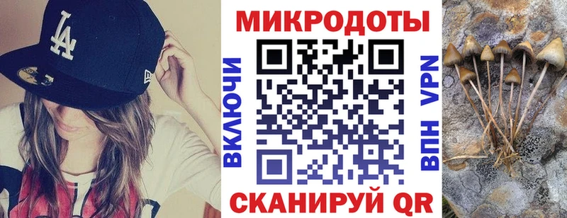 Купить закладки  Рыльск  Галлюциногенные грибы Psilocybe 